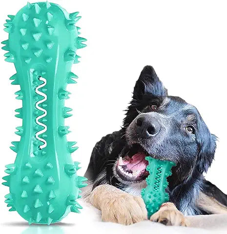 PawDental | Chewy Dog Tootbrush